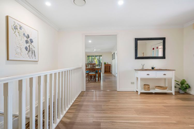 Koala Kubby, 147 Granite Street