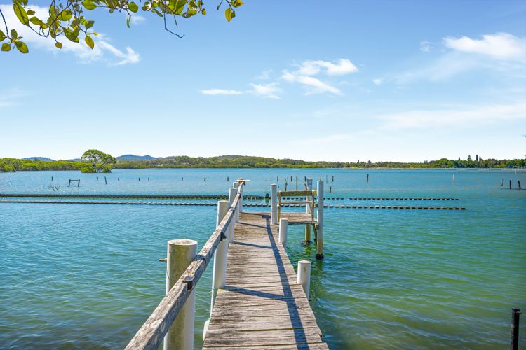Lakeside Bliss