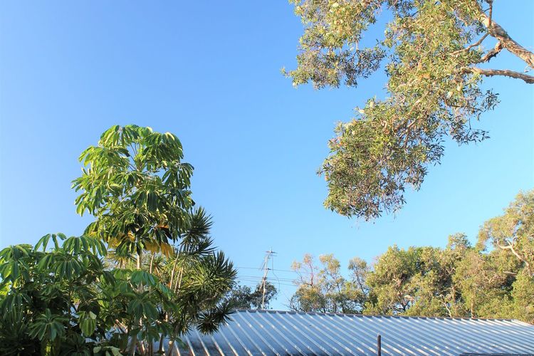 Mignon Cottage, 9 Noongah Terrace