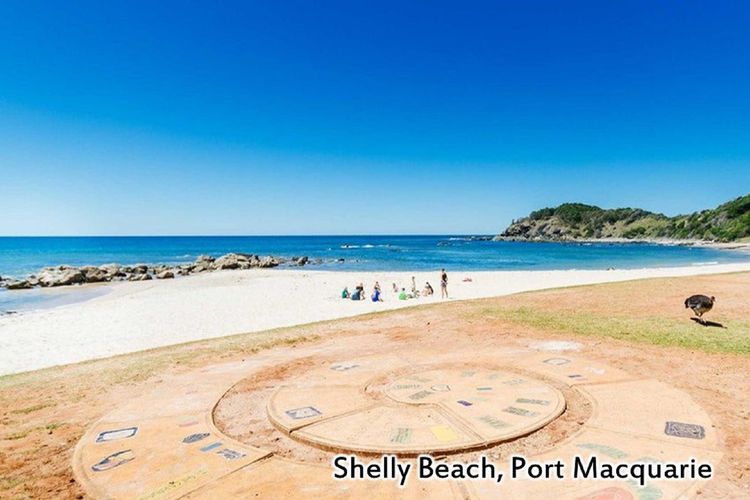 Shelly Cove Unit 13, 13/113 Pacific Drive