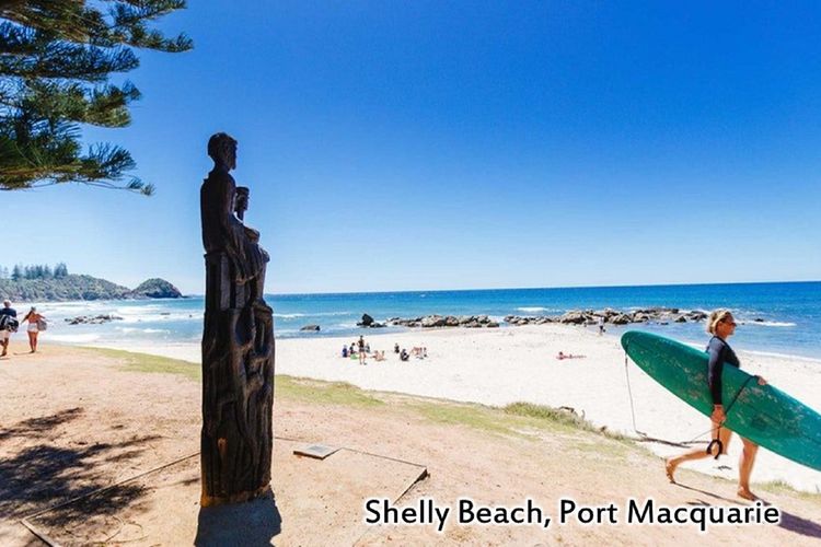 Shelly Cove Unit 13, 13/113 Pacific Drive