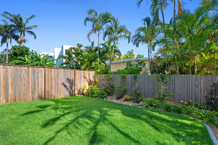 Rooftop Alexandra Headland