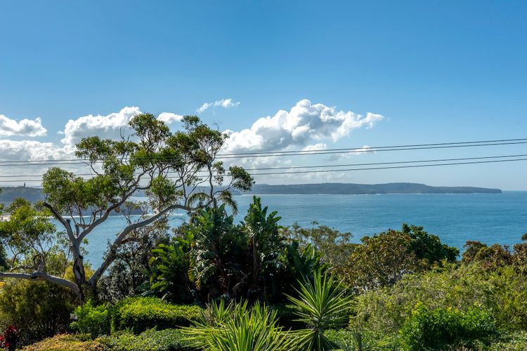 PACIFIC PARADISE