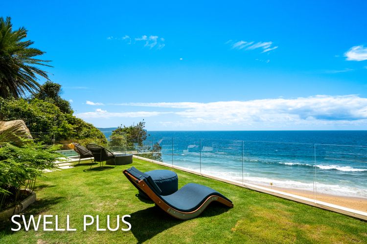 SWELL PLUS