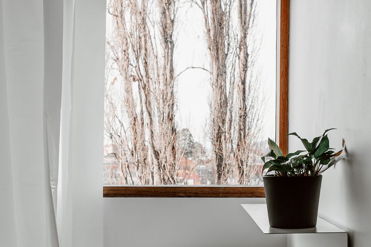 artstay Hobart 1890s inner city cottage