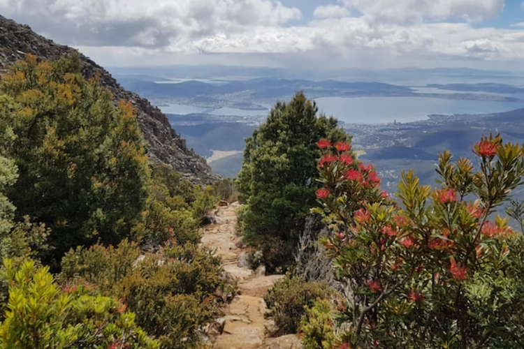 Poet s House 6br fabulous character WOW views