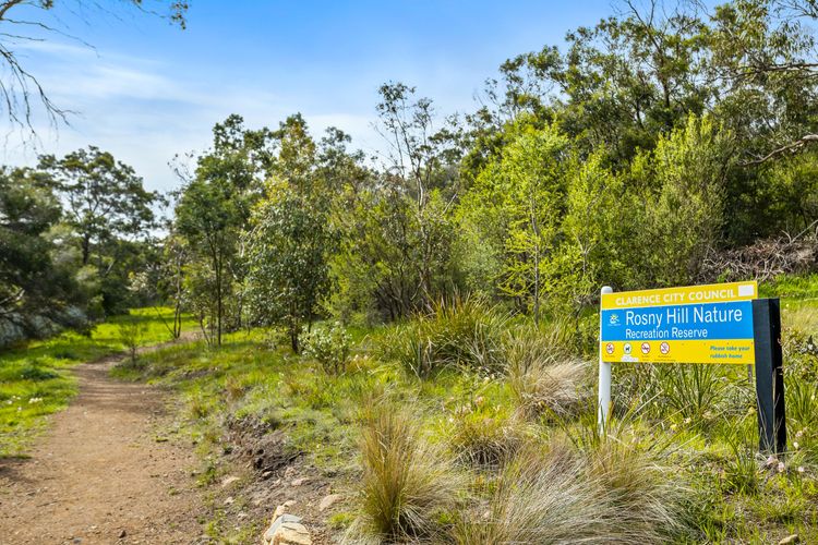 Panorama Bridge Views