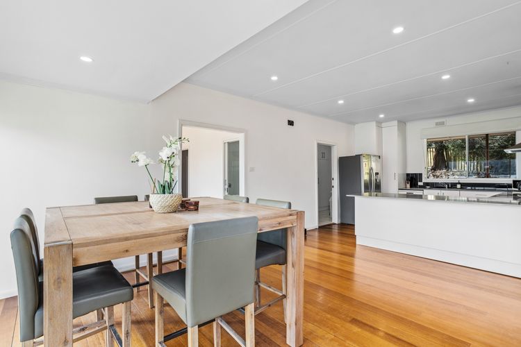 Panorama Bridge Views