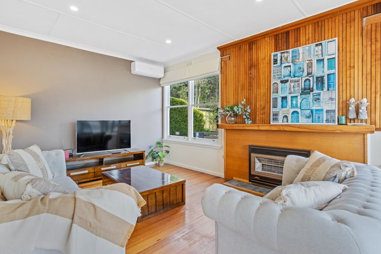 Panorama Bridge Views