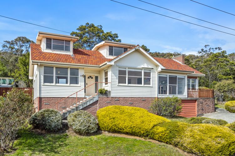 Panorama Bridge Views