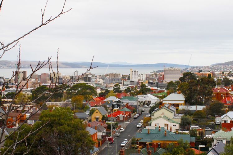 City Lights Spacious walk to restaurant strip