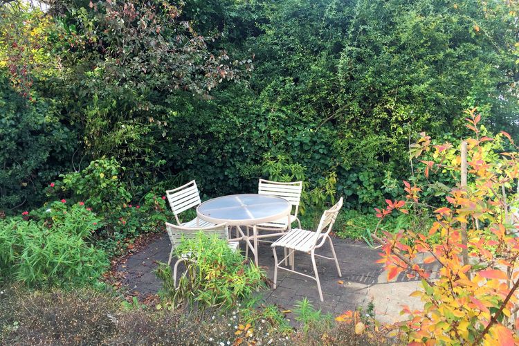 City Lights Spacious walk to restaurant strip