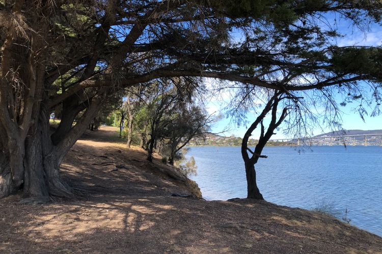 Deep Blue Wow views over river city mountain