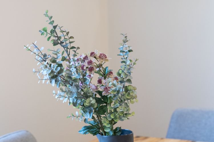 Lemon & Myrtle Cottage