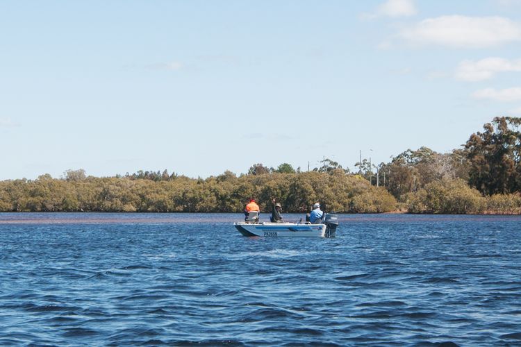 Myall River Cottage