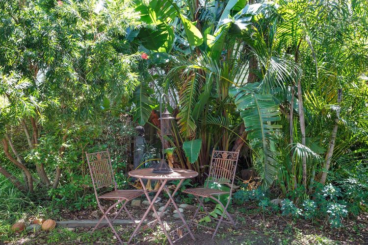 Witt’s Oasis | Two traditional Tea Gardens cottages