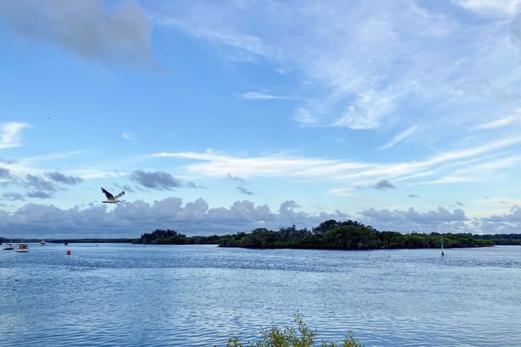 Blue Paradise on Coorilla