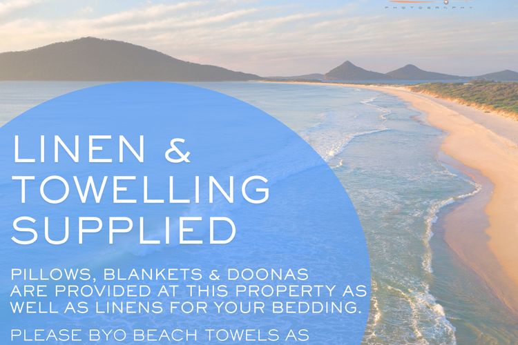 Paperbarks by the beach