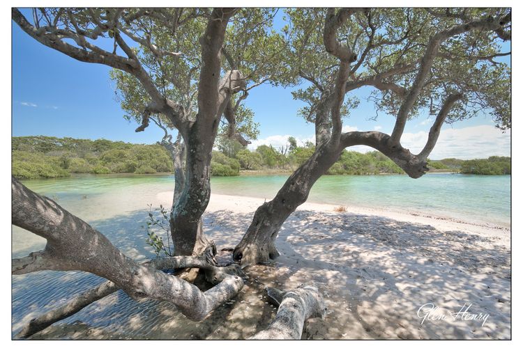 Saltwater Retreat Hawks Nest