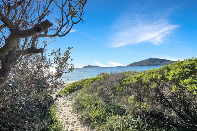 Nautilus 2 | Ground Floor Apartment