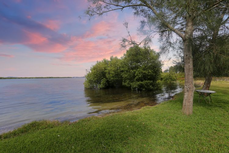 Melaluca – Bayview