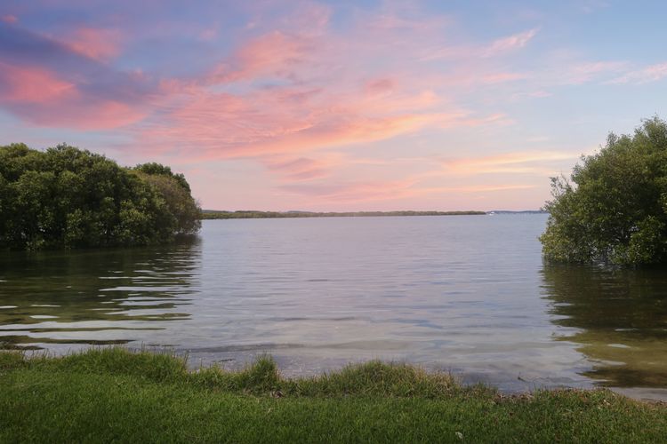 Melaluca – Bayview
