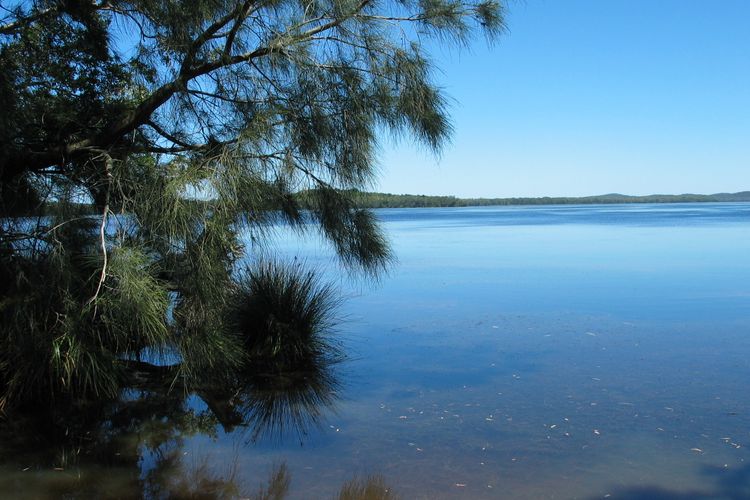 Myall River Magic