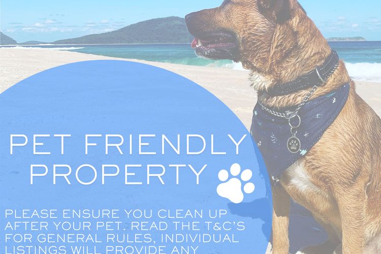 Ocean Nest – Pet Friendly