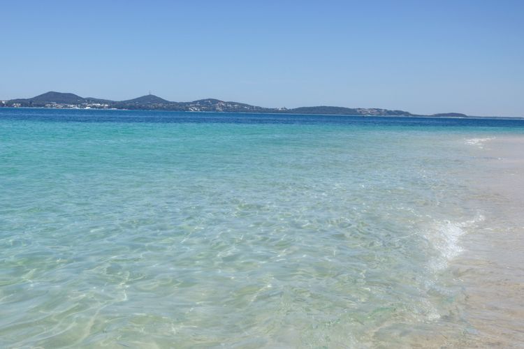 Ocean Nest – Pet Friendly