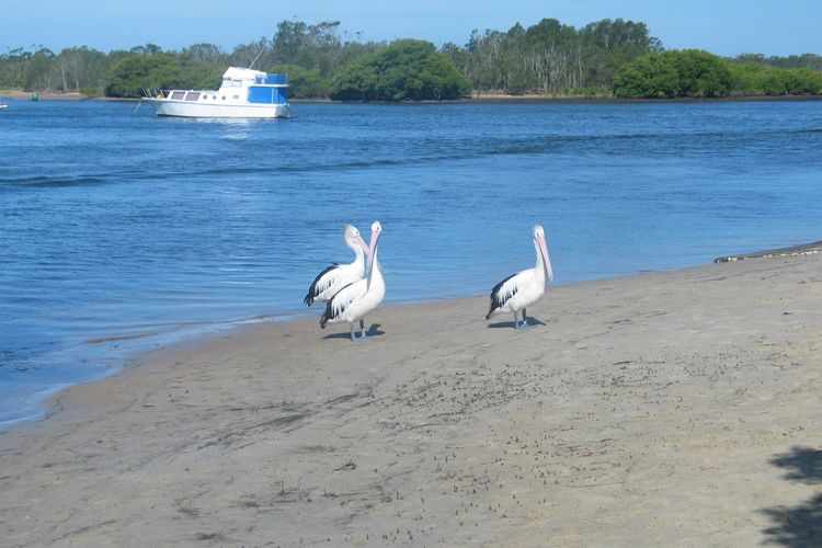 Patch of Paradise – Iluka