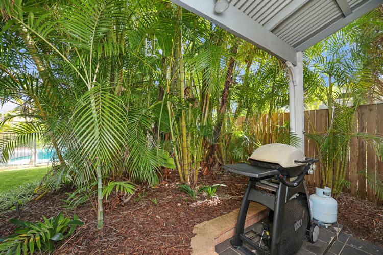Patch of Paradise – Iluka
