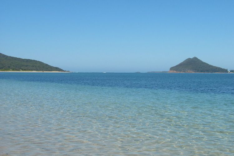 Pet Friendly on Pelican –  Close to Myall River