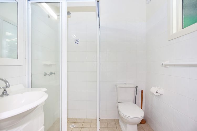 Wanda – Pet Friendly