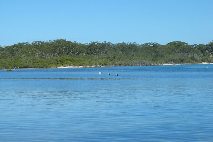River Views – Pet Friendly