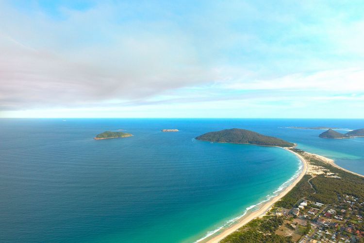 Vitamin Sea – Pet Friendly