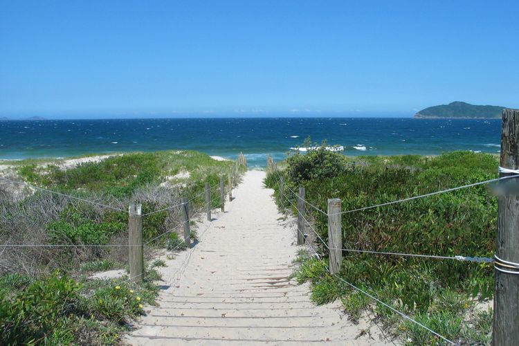 Vitamin Sea – Pet Friendly