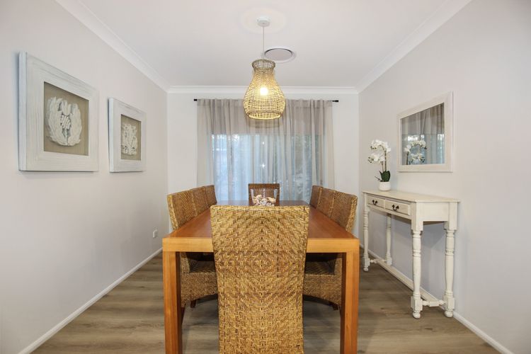 Vitamin Sea – Pet Friendly