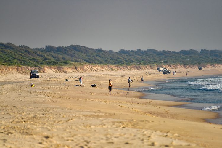 Vitamin Sea – Pet Friendly