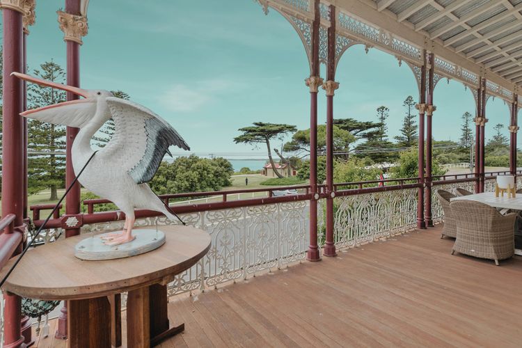 Pelicans