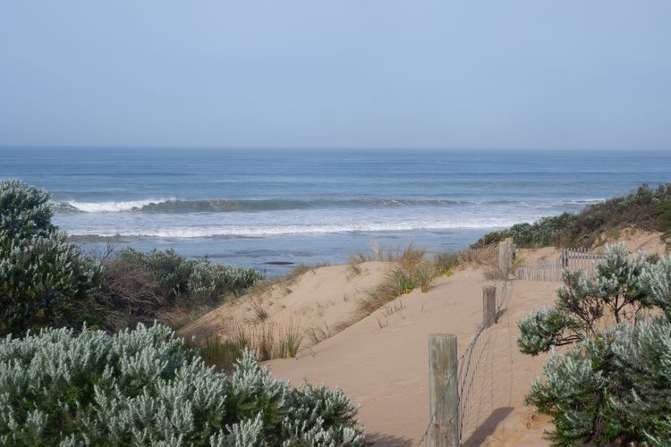 Moonah Haven