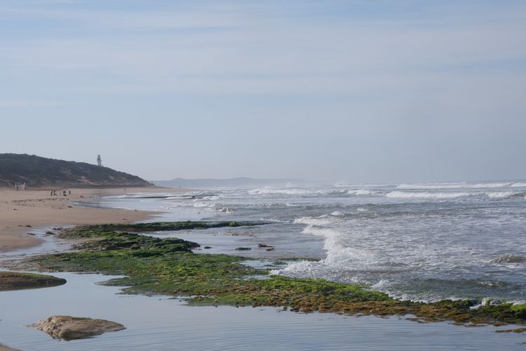 Moonah Haven