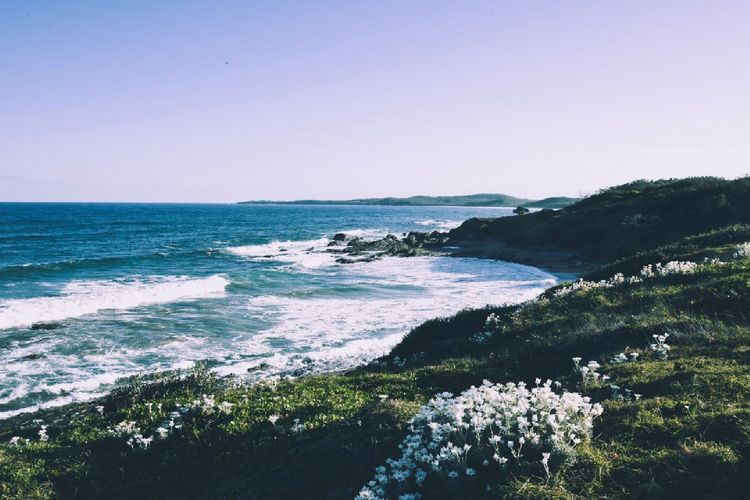 Minnie Beach House