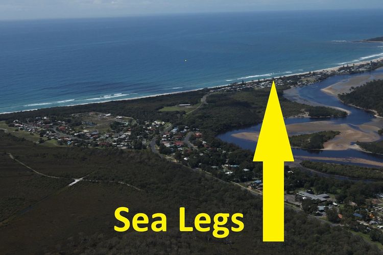 Sea Legs
