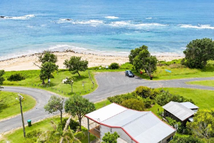 1 Waratah