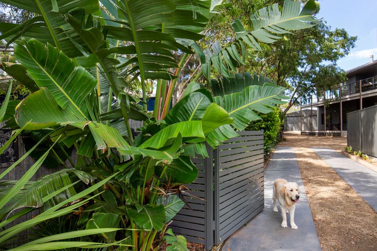 Saltbush Cottage – Pet Friendly – 1 Min Walk to Beach