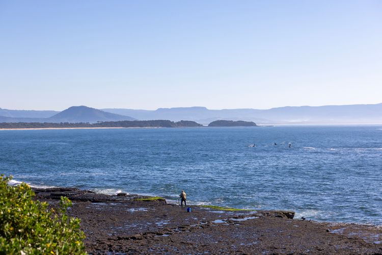 Glory House @ Culburra – Beachfront