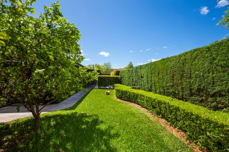 Mulberry House – Pet Friendly with Swimming Pool