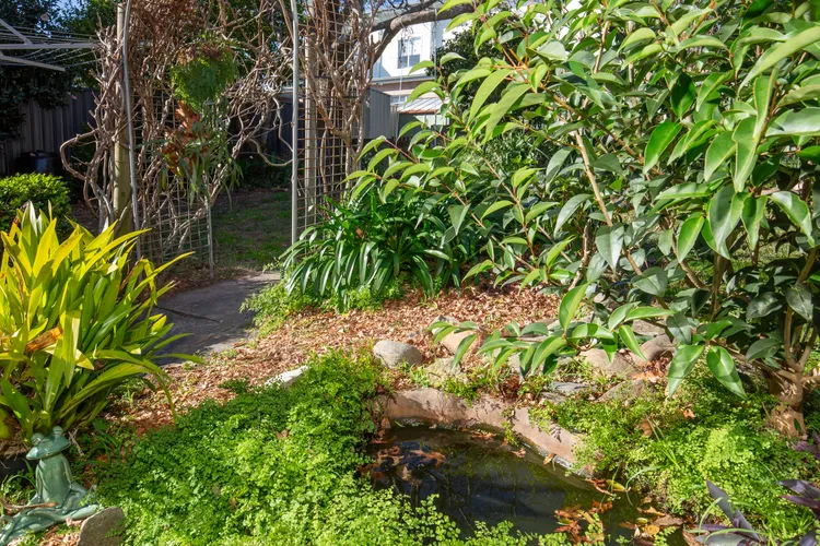 Seagrass – Pet Friendly – 10 Mins Walk to Beach