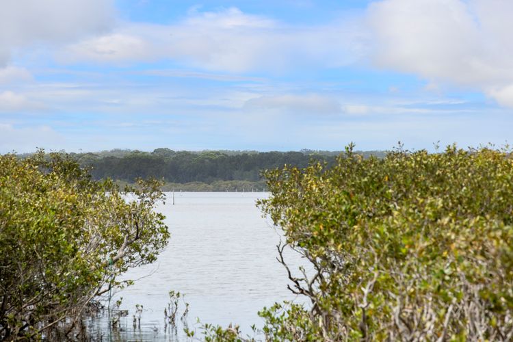 Amazing beach only a few minutes walk away. Easy access to an amazing surf beach for surfing