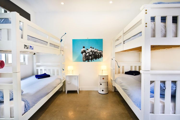 Oceanside – Pet Friendly Absolute Beachfront
